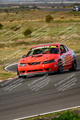 media/Feb-25-2024-Speed Ventures (Sun) [[b9a2a97a4d]]/Mustang Drivers Club/Session 2 (Turn 6)/